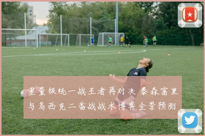 重量级统一战王者再对决 泰森富里与乌西克二番战战术博弈全景预测